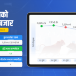 आईटी उद्योग किन उत्साहित छ अध्यादेशबाट ? – Online Khabar